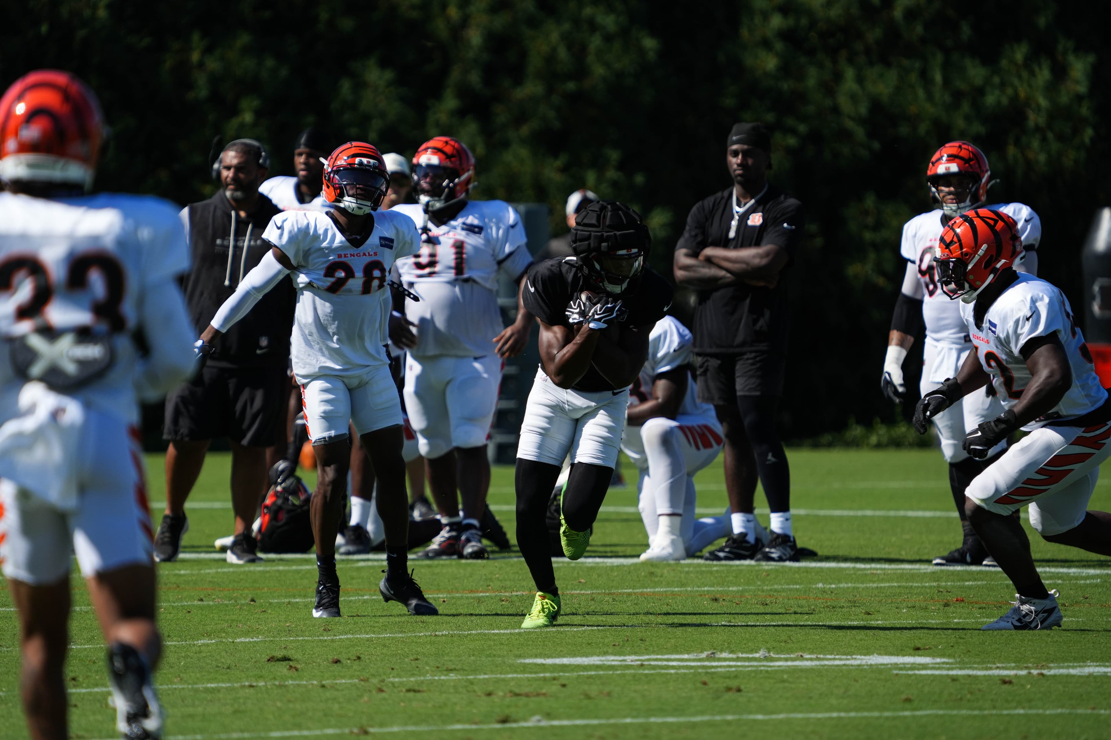 Bengals Defense Shines Before Bears Joint Practice