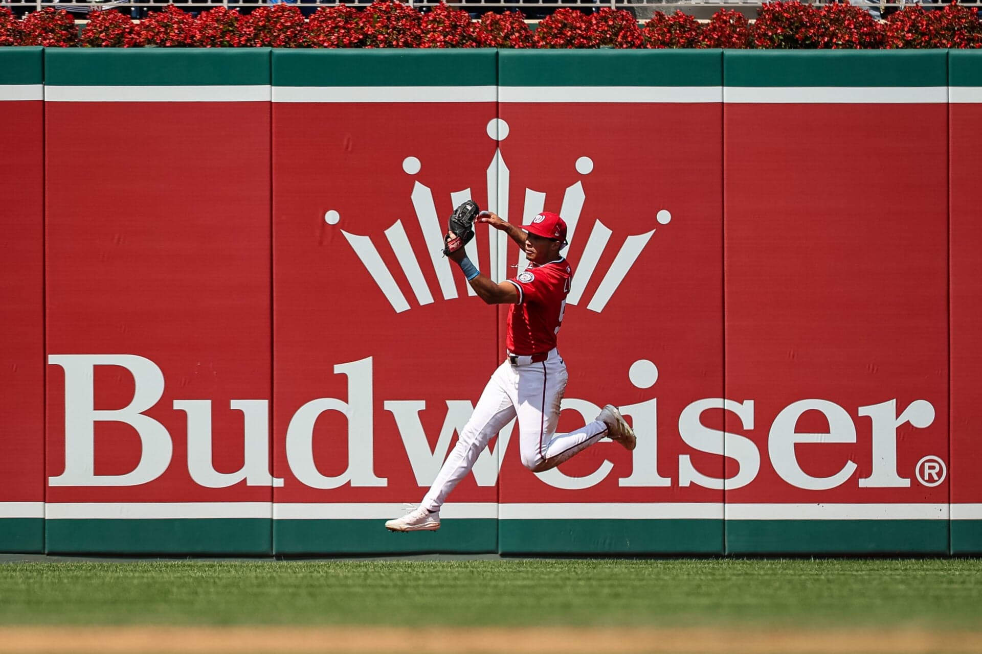 Budweiser Unveils MLB Bat-Brewed Beer for 2026 Season